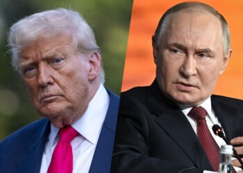 «Отказ Украины от ДНР»: на Западе раскрыли детали беседы Путина и Трампа