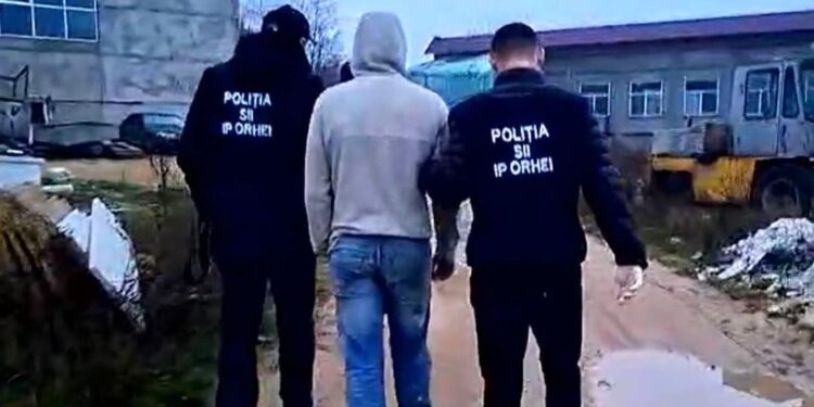 Задержан за подозрение в выращивании и распространении наркотиков