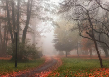 Жёлтый код из-за тумана по всей стране: пасмурно, но без осадков