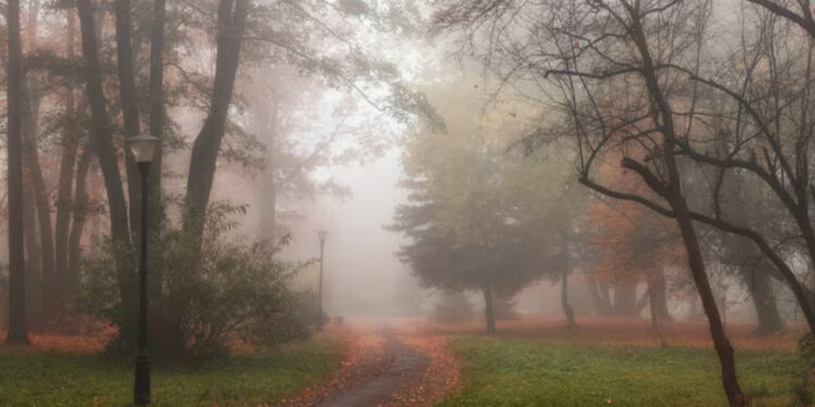 Жёлтый код из-за тумана по всей стране: пасмурно, но без осадков