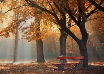 Синоптики рассказали, какой будет погода 14 ноября