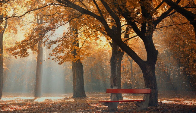 Синоптики рассказали, какой будет погода 14 ноября