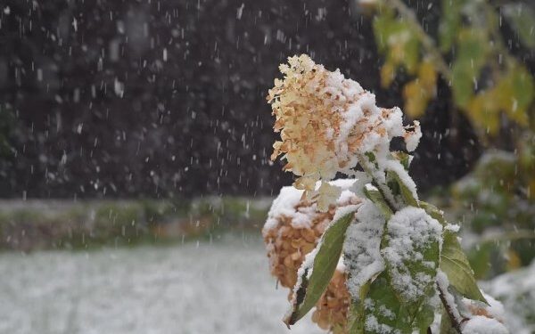 Дождь и мокрый снег: Синоптики рассказали какой будет погода 19 ноября