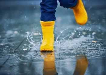 Туман и сильные дожди: Синоптики рассказали, какой будет погода 11 ноября