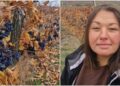 Виноградарь: 80 тонн винограда остались неубранными, но налоги я платила в течение года