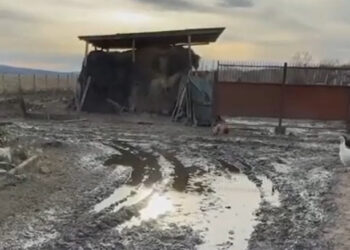 Голосовали за Европу и PAS, но вместо европейской дороги — непроходимая канава