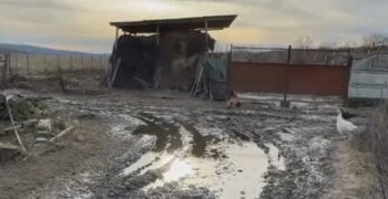 Au votat pentru UE și PAS, dar în loc de drum european au un șanț plin cu glod |VIDEO