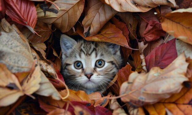 Облачно и слабые дожди: Синоптики рассказали, какой будет погода 28 ноября