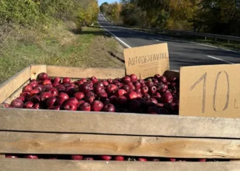 Mere la marginea drumului fără vânzător, soluție pentru a salva roada