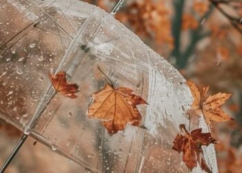 Переменная облачность и похолодание: прогноз погоды на сегодня