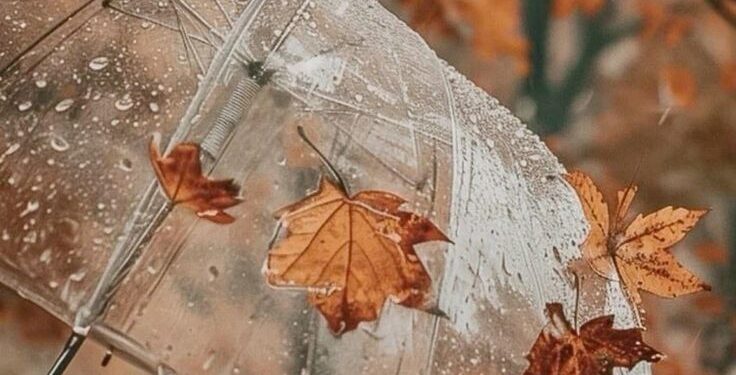 Переменная облачность и похолодание: прогноз погоды на сегодня