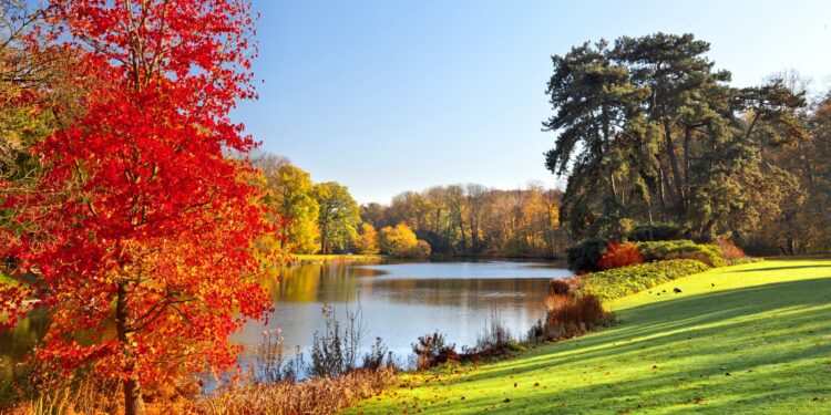 Прогноз погоды на 15 ноября