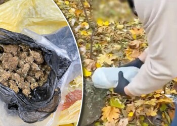 Полиция задержала подозреваемого в распространении наркотиков возле университетов