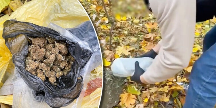 Полиция задержала подозреваемого в распространении наркотиков возле университетов