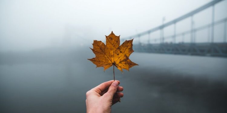 Прогноз погоды на 29 ноября