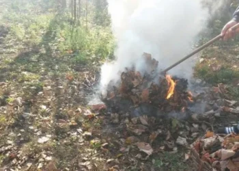 Рейды в Окнице: выявлены случаи незаконного сжигания отходов