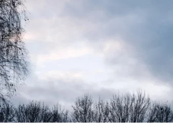 Prognoza meteo pentru 16 noiembrie