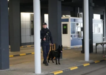 Trafic de arme descoperit la vamă. Tir moldovenesc reținut la Albița