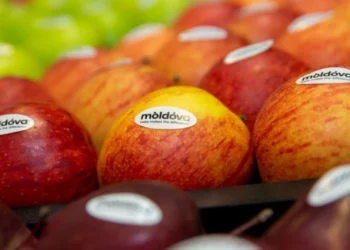 Молдова может увеличить объём и стоимость экспорта фруктов примерно в два раза