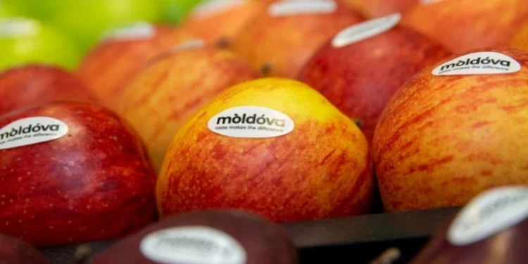 Молдова может увеличить объём и стоимость экспорта фруктов примерно в два раза
