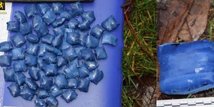 Două cazuri de droguri la Orhei și Chișinău: doi tineri reținuți