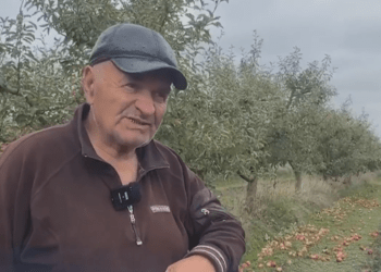 Fermier din Căușeni: În curând Moldova va înceta să mai fie o țară agrară | VIDEO