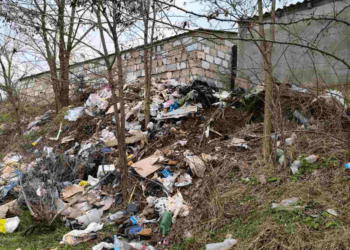 Razii ecologice în raionul Florești: gunoiști ilegale, arbori tăiați fără drept și transport de lemne fără acte