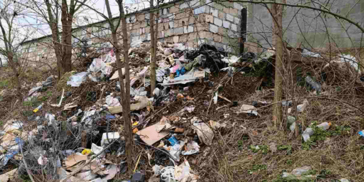 Razii ecologice în raionul Florești: gunoiști ilegale, arbori tăiați fără drept și transport de lemne fără acte