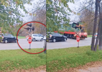 Tren obligat să frâneze brusc după ce mai mulți șoferi au trecut pe roșu la o trecere feroviară din Chișinău