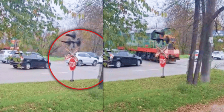 Tren obligat să frâneze brusc după ce mai mulți șoferi au trecut pe roșu la o trecere feroviară din Chișinău