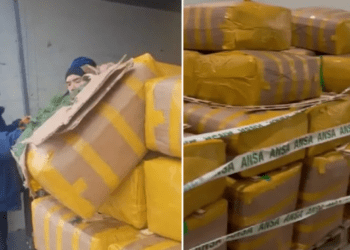 15 tone de mărar și pătrunjel contaminate cu pesticide, oprite de ANSA înainte să ajungă în magazine