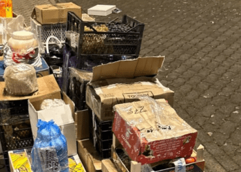 Colete din Moldova cu două tone de carne crudă, brânză și ouă, confiscate și distruse în Germania