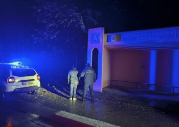 Tentativă de trecere ilegală a frontierei, stopată de polițiștii de frontieră la Briceni