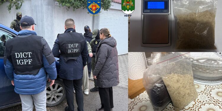 Droguri de 1,2 milioane de lei, trimise prin colete din Polonia. Două persoane – reținute