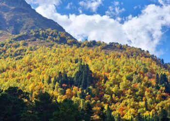 Прогноз погоды на 29 ноября