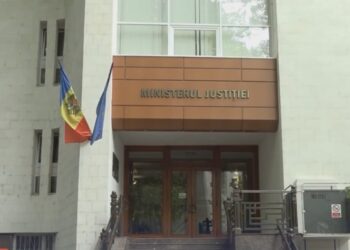 Detalii șocante despre acțiunile executorilor judecătorești la un fermier din sudul țării