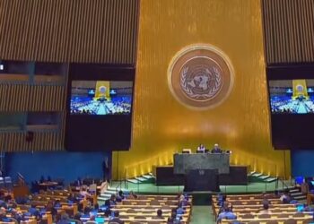 Moldova a votat din nou împotriva rezoluției ONU privind combaterea nazismului: Societatea cere explicații