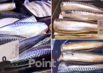 Moldovenii sunt îngroziți de creșterea prețului la macrou: De la 140 a ajuns la 300 de lei