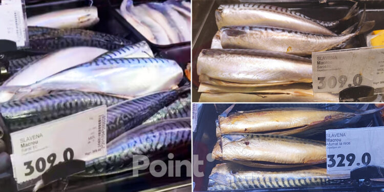 Moldovenii sunt îngroziți de creșterea prețului la macrou: De la 140 a ajuns la 300 de lei