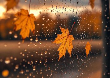 Prognoza meteo pentru 9 noiembrie