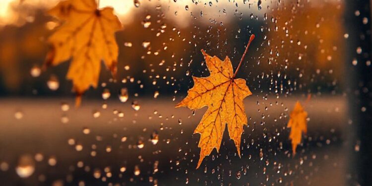 Prognoza meteo pentru 9 noiembrie