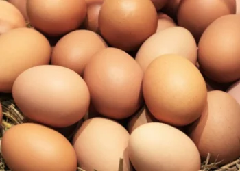 Ouăle de găină s-au scumpit și ajung până la 50 de lei. Ce spun producătorii