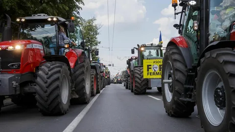 Fermierii nu și-au primit toate subvențiile. Parlamentul a respins proiectul care îi putea ajuta