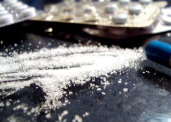 A devenit Moldova producător de droguri pentru Uniunea Europeană? |VIDEO