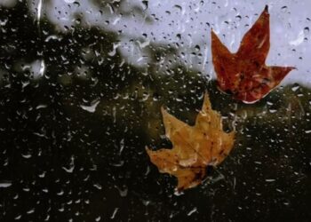 Vreme mohorâtă, dar blândă în Moldova: ceață, nori și temperaturi moderate