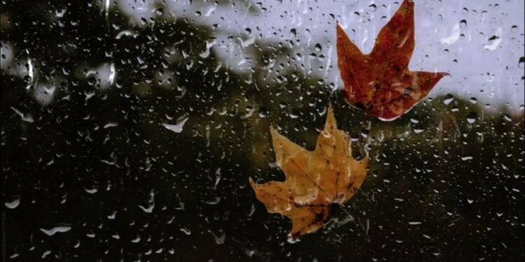 Vreme mohorâtă, dar blândă în Moldova: ceață, nori și temperaturi moderate