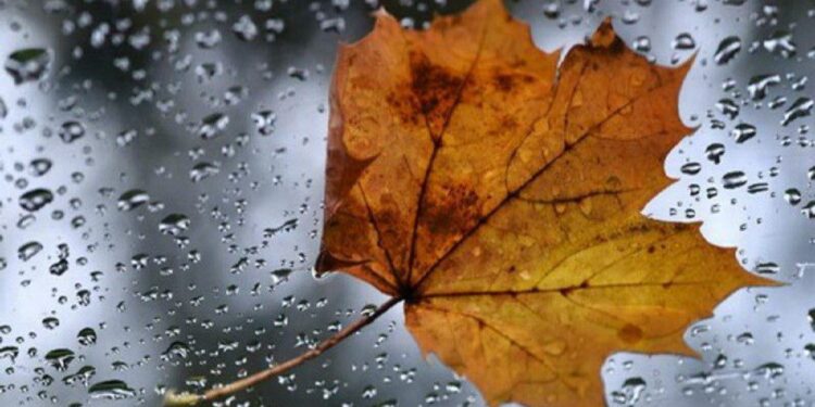 Prognoza meteo pentru 30 noiembrie