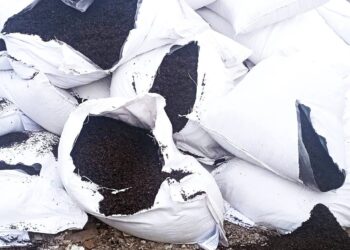 Peste o tonă de ceai negru, nimicită în Republica Moldova după depistarea unui pesticid periculos