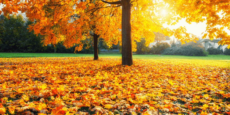 Meteo pentru 13 noiembrie: Cer variabil în toată țara și temperaturi de toamnă blândă