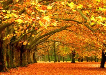 Meteo 7 noiembrie 2025: Cer înnorat în toată țara, temperaturi moderate de toamnă